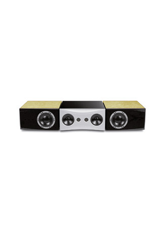 Dynaudio Evidence Center