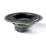 Dynaudio Esotec MW182 garsiakalbis 1 vnt.