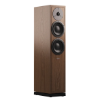 Dynaudio Contour Legacy – aukštos klasės 2,5 krypčių grindinės garso kolonėlės, Dažnių juosta: 38 Hz – 23 kHz (±3 dB), Rekomenduojama stiprintuvo galia: 180 W | Nemokamas pristatymas
