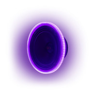 DD Audio LED RGB Ring 6.5, RGB LED apšvietimo žiedai, 165 mm (6,5″) garsiakalbiams, 12 V, su nuotolinio valdymo pulteliu, pora
