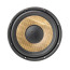Focal SUB P 25 FSE SHALLOW automobilinis žemų dažnių garsiakalbis galia: 560W, jautrumas: 87 dB, varža: 4 Omai | Nemokamas Pristatymas