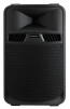 Audiophony SR15A 2-jų juostų Kolonėlė
