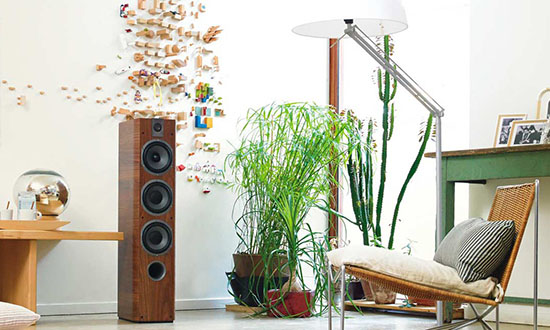 Focal Chorus 726 garso kolonėlės grindinės