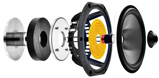 Focal Chorus 726 garso kolonėlės grindinės